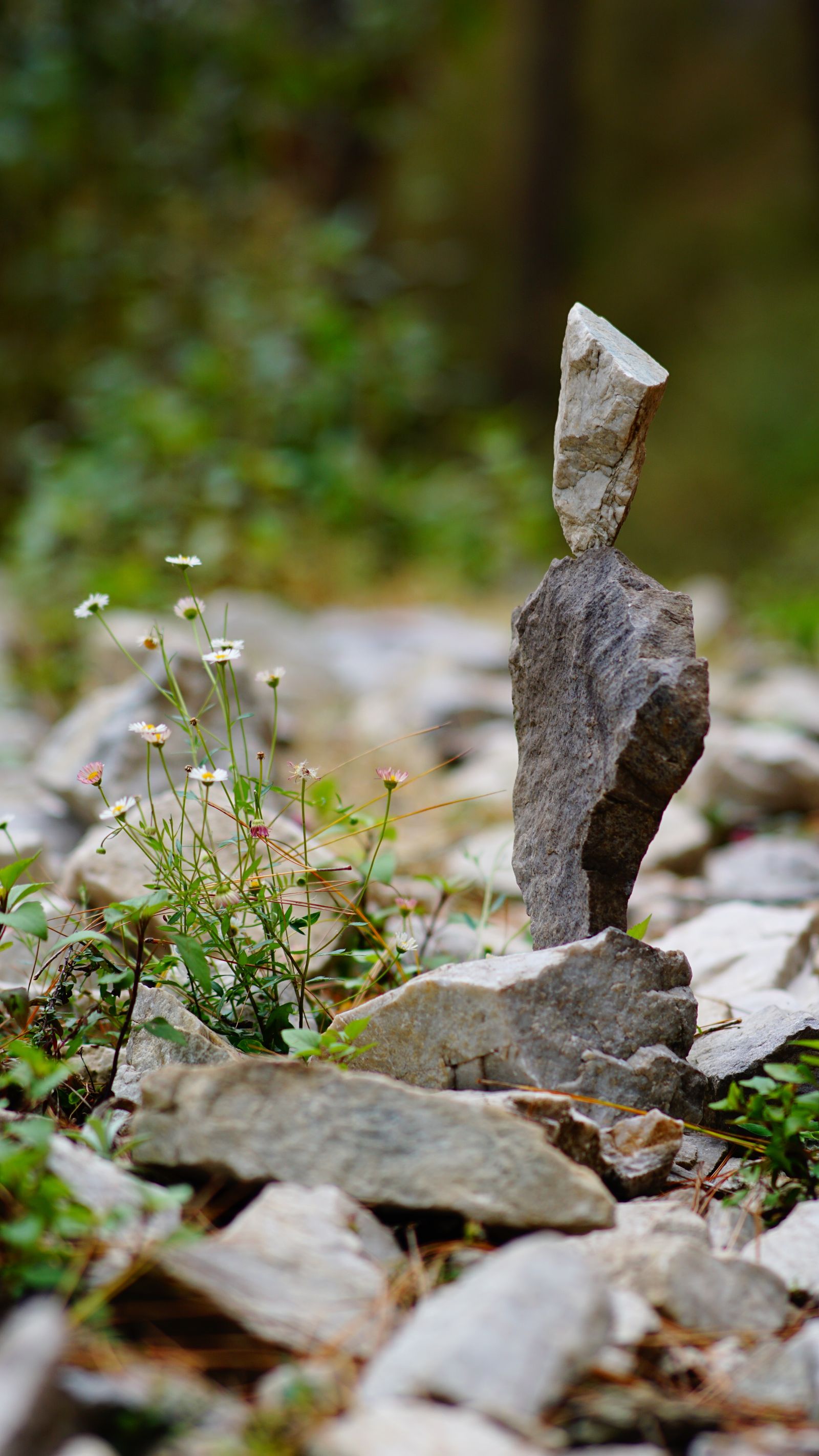 Balanced stacked stones symbolizing Vata, Pitta, and Kapha doshas