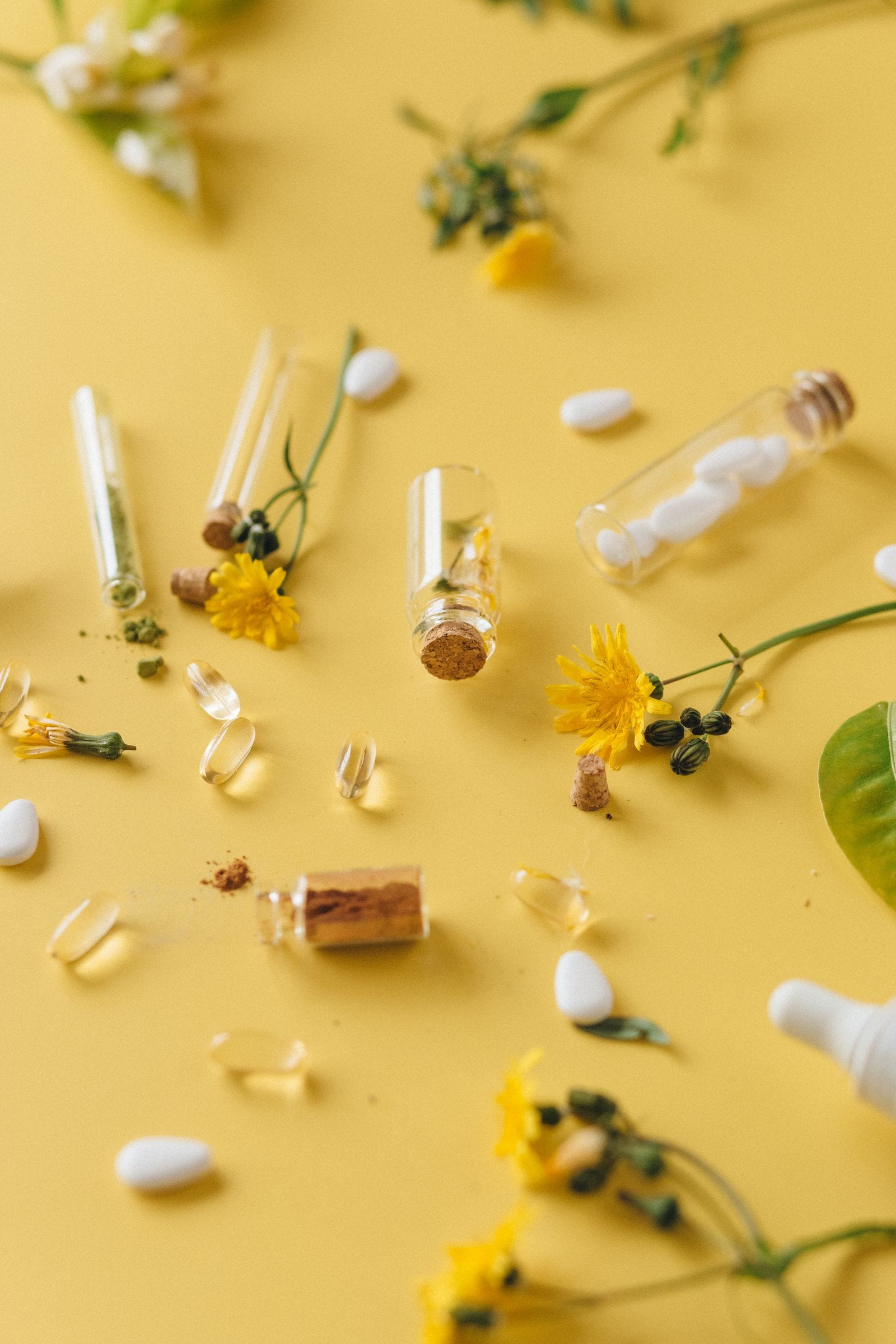 Medicinal herbs and capsules arranged on a yellow background