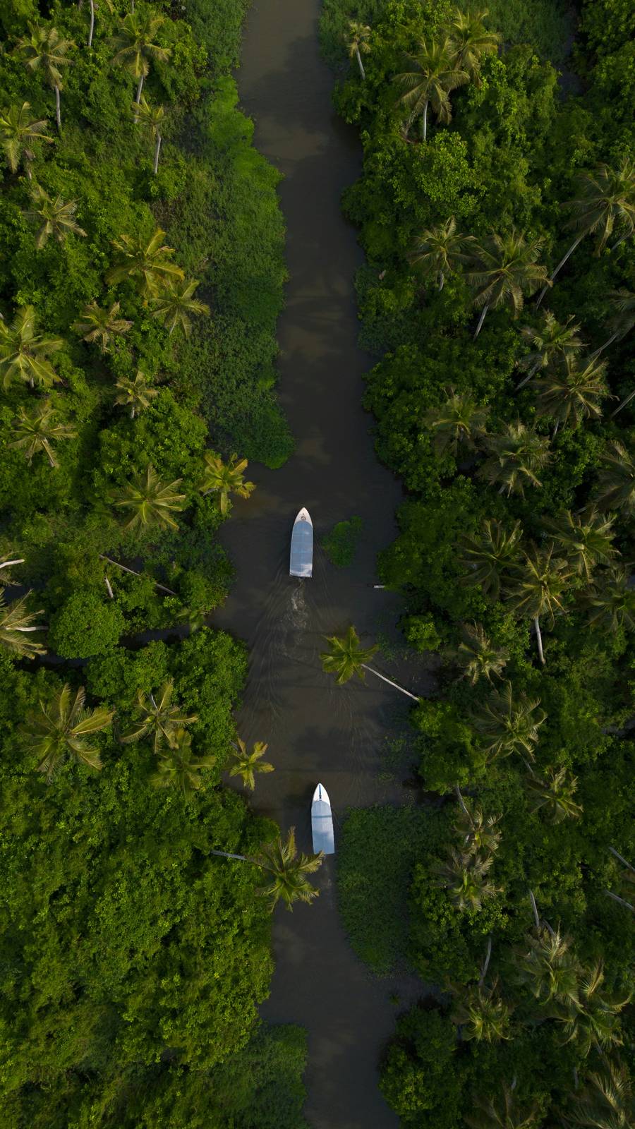 Aerial view of Kerala backwaters with a traditional canoe, the heartland of Ayurvedic treatment in India