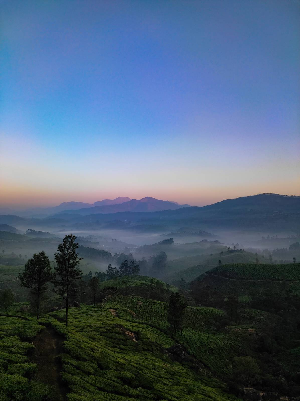 Misty green hills in Kerala