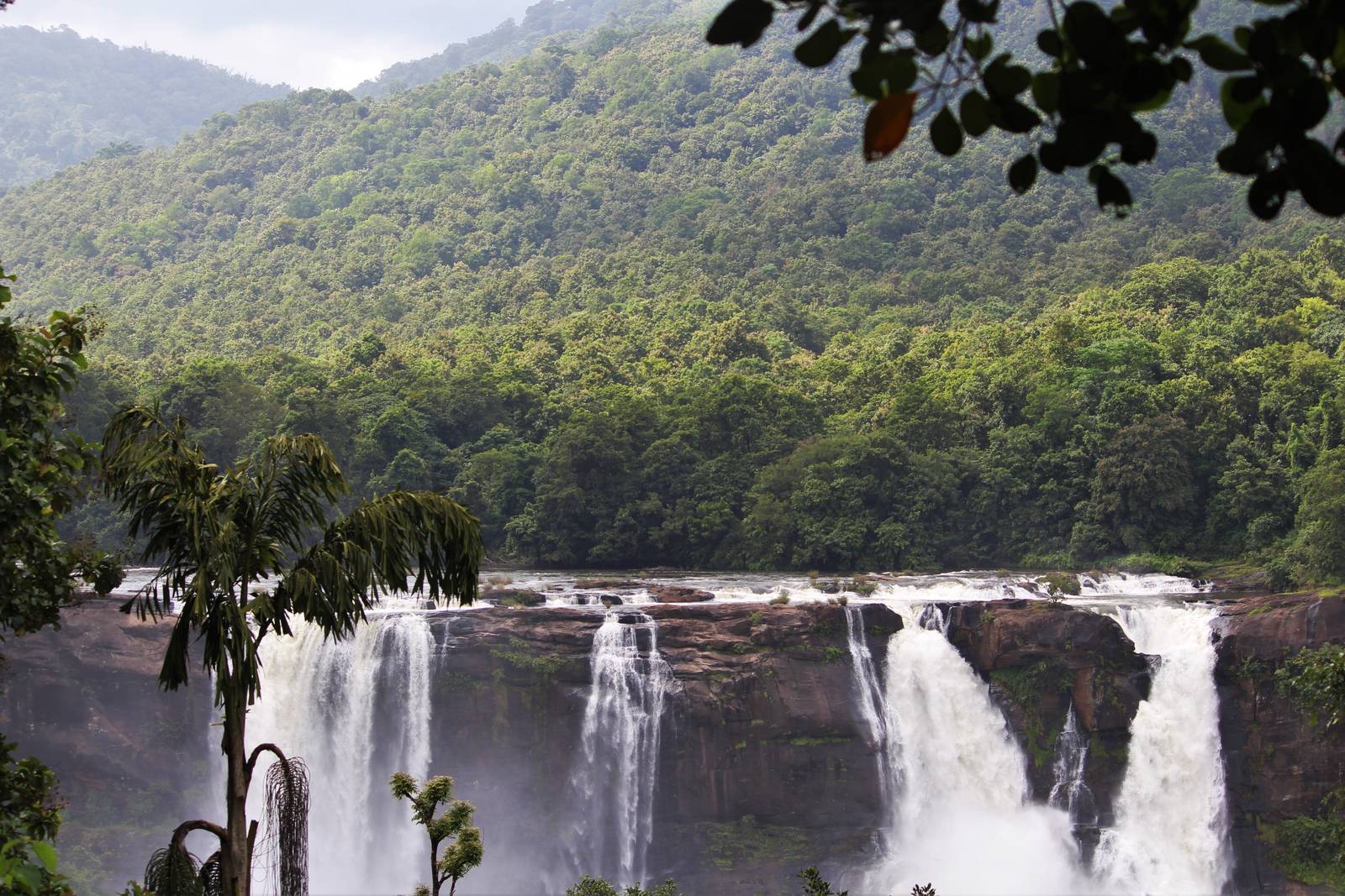 Athirappilly waterfall in Kerala rainforest